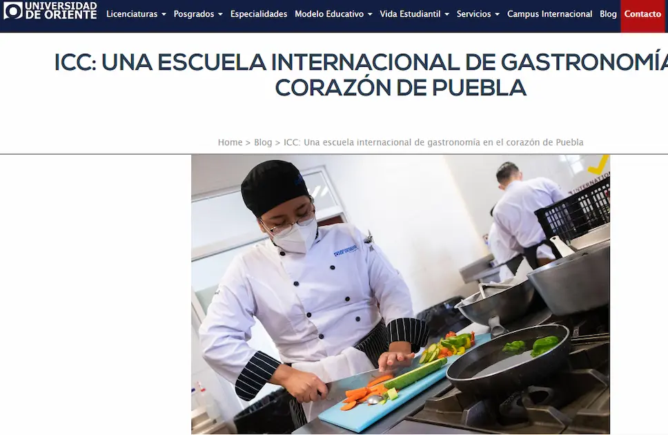 Instituto de Gastronomía Internacional (ICC)