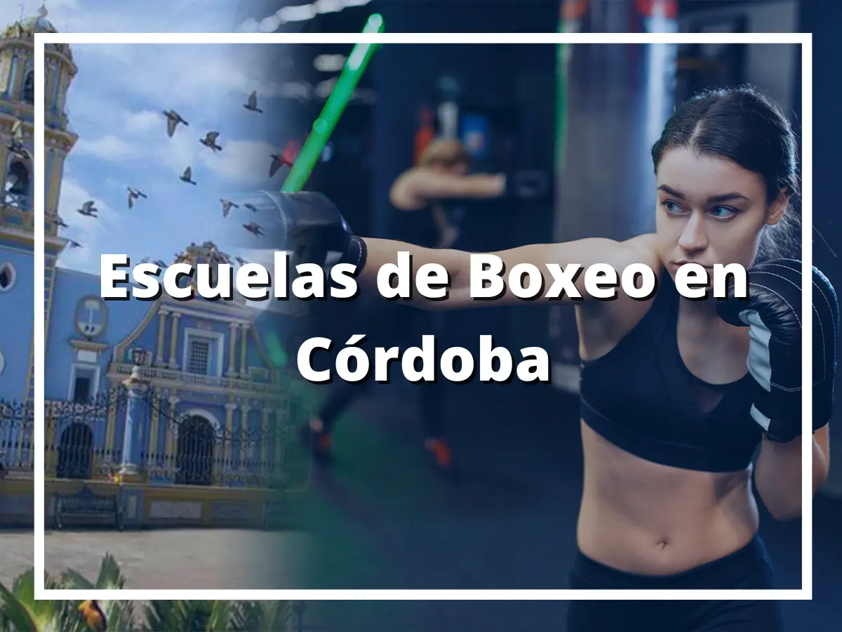 Escuelas de Boxeo en Córdoba