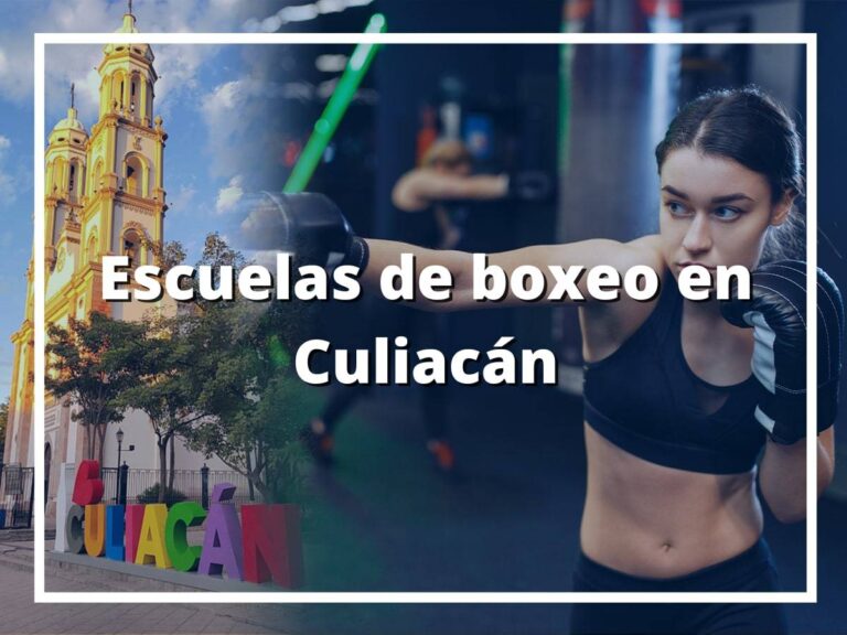 Escuelas de boxeo en Culiacán