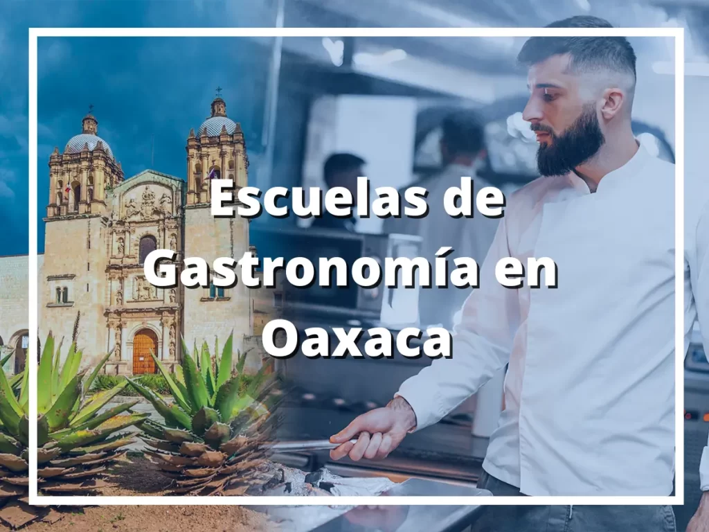 Mejores escuelas de gastronomía en Oaxaca